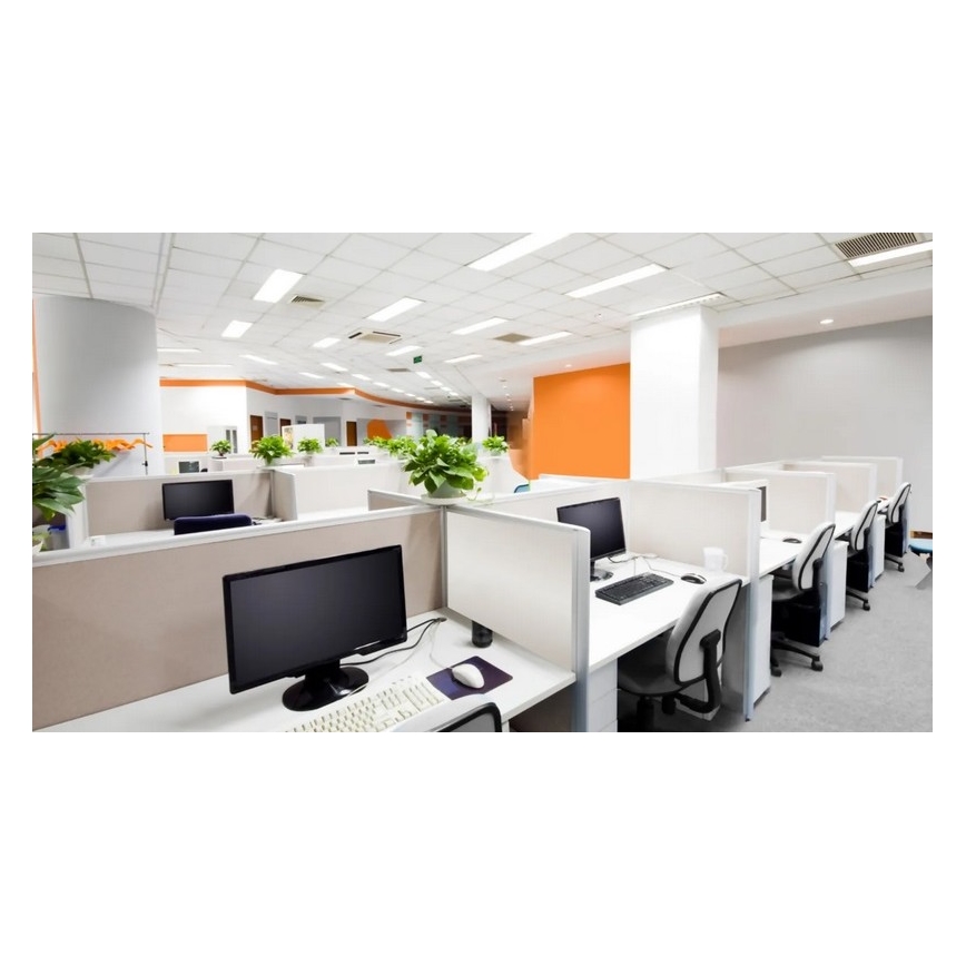 Steinel 079574 - Rilevatore di presenza DualTech COM1 bianco