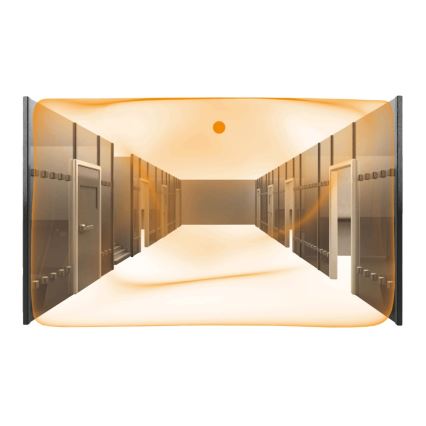 Steinel 079598 - Rilevatore di presenza Dual US COM1 bianco