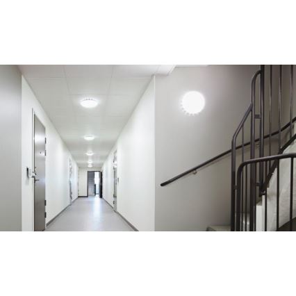Steinel 081928 – SET 5x LED-Deckenleuchte mit Sensor RS PRO S10 SC LED/9,1W/230V 4000K