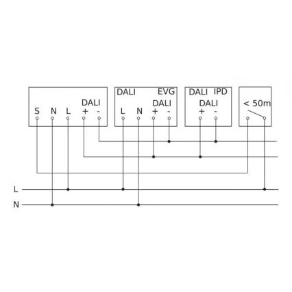Steinel 088187 - Bewegungssensor mit Präsenzsensor PD-8 ECO DALI-2 360° schwarz