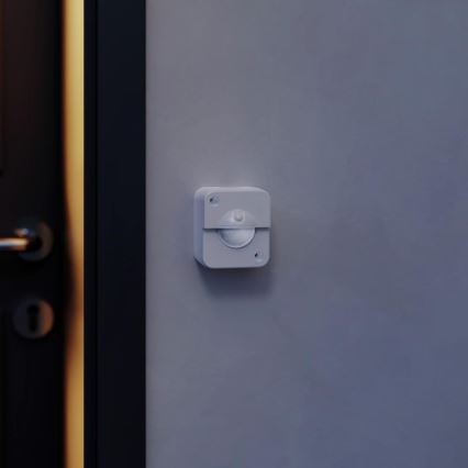 STEINEL 66048 - Détecteur infrarouge extérieur IR 180 AP 180° IP54 blanc