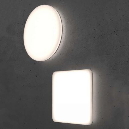Steinel 067816 - LED Dimmbare Deckenleuchte mit Sensor RS PRO R10 BASIC SC LED/8,5W/230V 3000K IP40