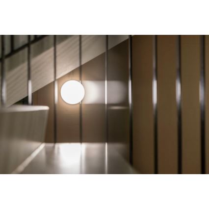 Steinel 067717 - Plafonnier LED à intensité variable avec détecteur RS PRO R10 PLUS SC 8,5W/230V IP40 3000K