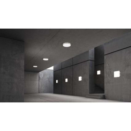 Steinel 067816 - Luminaire LED à intensité variable avec détecteur RSPROR10BASIC 8,5W/230V 3000K IP40