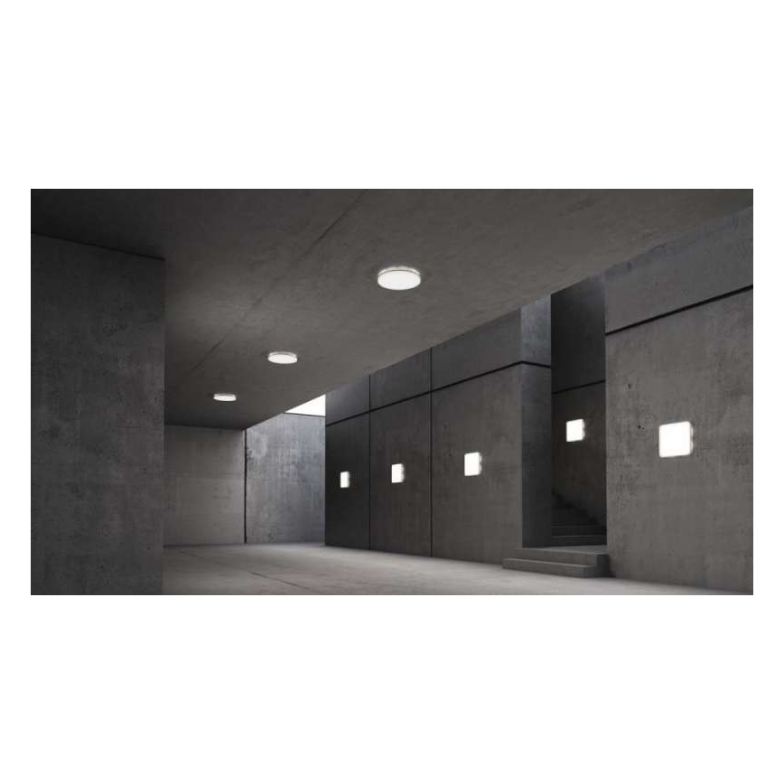 Steinel 067816 - Luminaire LED à intensité variable avec détecteur RSPROR10BASIC 8,5W/230V 3000K IP40