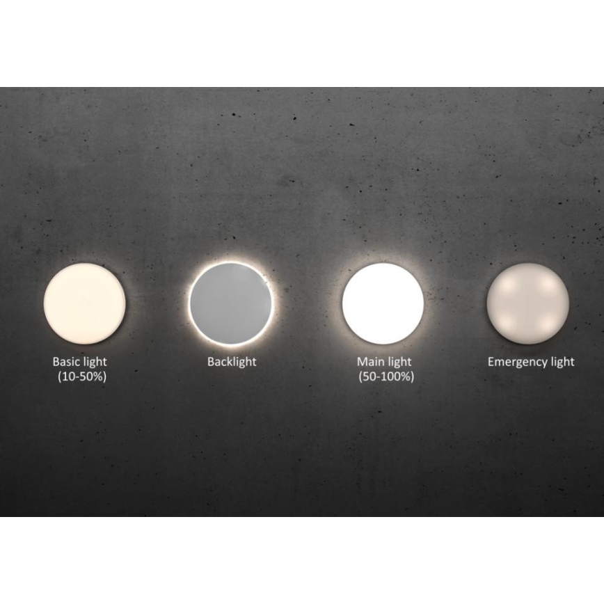 Steinel - Plafonnier LED à intensité variable avec détecteur RSPROR20BASIC 15,3W/230V IP40 4000K