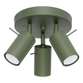 Strahler RING 3xGU10/10W/230V grün