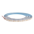 Striscia bagno LED DAISY 30m bianco freddo
