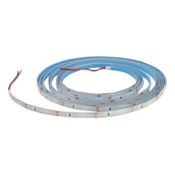 Striscia bagno LED DAISY 5m bianco caldo IP65
