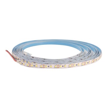 Striscia bagno LED DAISY 5m bianco freddo