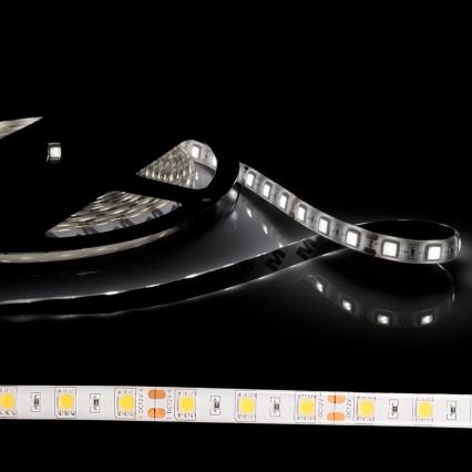 Striscia LED 5m 28W/12V IP65 6500K