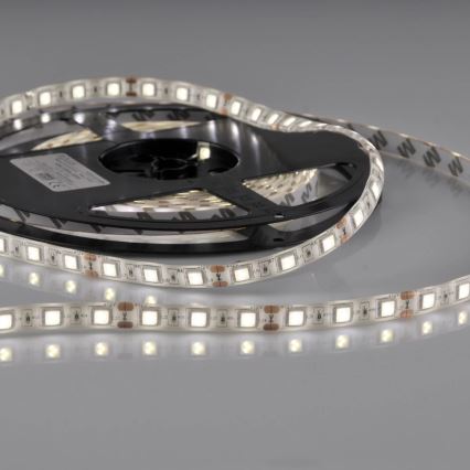 Striscia LED 5m 28W/12V IP65 6500K