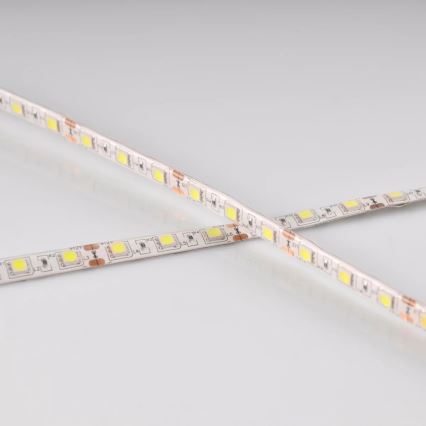 Striscia LED 5m 28W/12V IP65 6500K