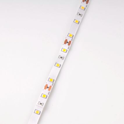 Striscia LED 5m LED/10W/12V IP20 3300K