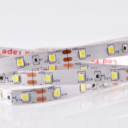 Striscia LED 5m LED/10W/12V IP20 6500K