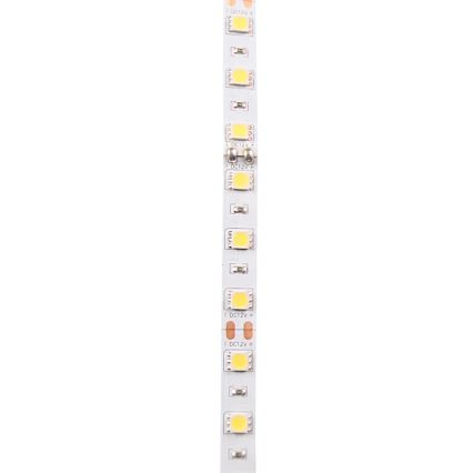 Striscia LED 5m LED/10W/12V IP20 bianco