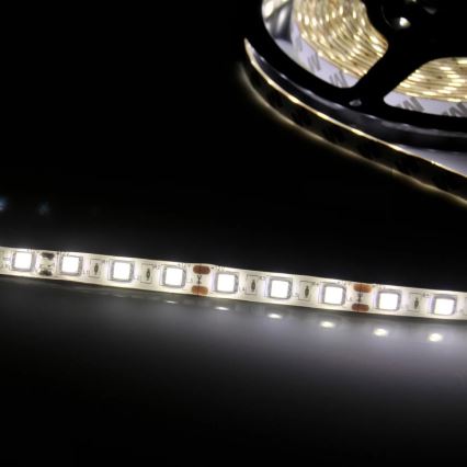 Striscia LED 5m LED/10W/12V IP20 bianco