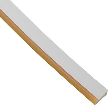 Striscia LED da bagno NEON EKO-FLEX LED/250W/12V IP65 25m arancione