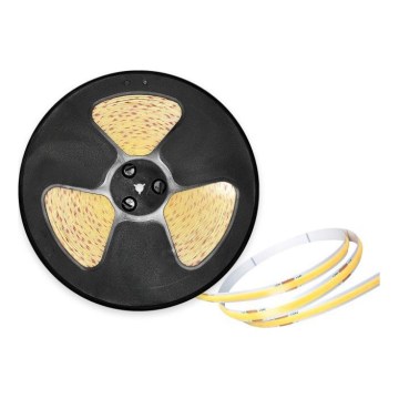 Striscia LED per esterni TRAMO LED/50W/24V 5m IP65 4000K