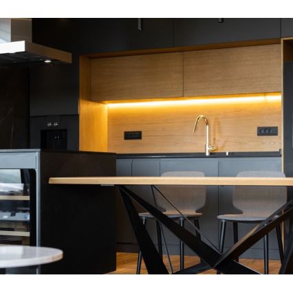 Striscia LED TRAMO LED/500W/12V 50m 3000K