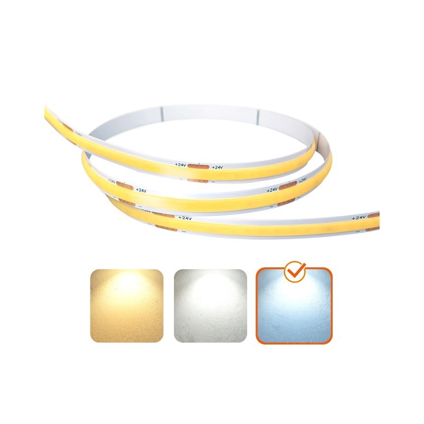 Striscia LED TRAMO LED/50W/24V 5m 6500K