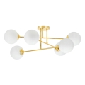 Suspension-barre 6xE27/35W/230V d. 80 cm doré