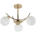Suspension-barre AMOS 3xE27/40W/230V doré