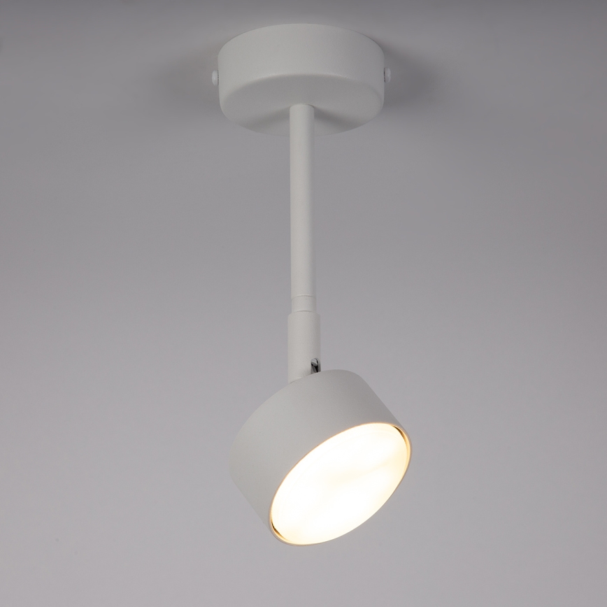 Suspension-barre NEMO 1xGX53/12W/230V 24 cm blanc