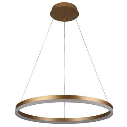 Suspension filaire à intensité variable LED/42W/230V 3000-6500K d. 60 cm + Télécommande
