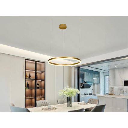 Suspension filaire à intensité variable LED/42W/230V 3000-6500K + Télécommande