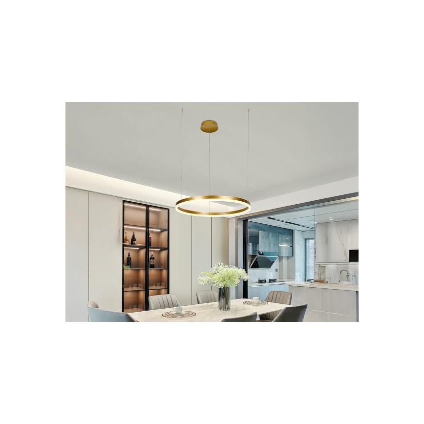 Suspension filaire à intensité variable LED/42W/230V 3000-6500K + Télécommande