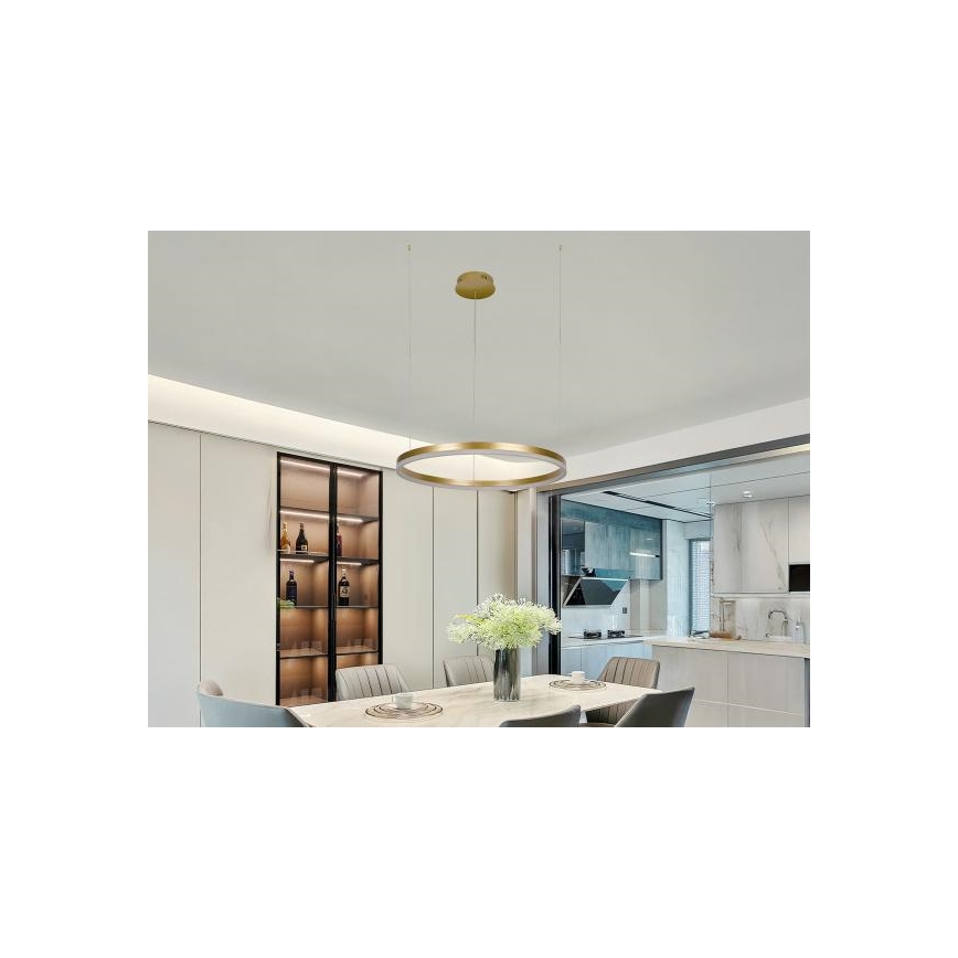 Suspension filaire à intensité variable LED/42W/230V 3000-6500K + Télécommande