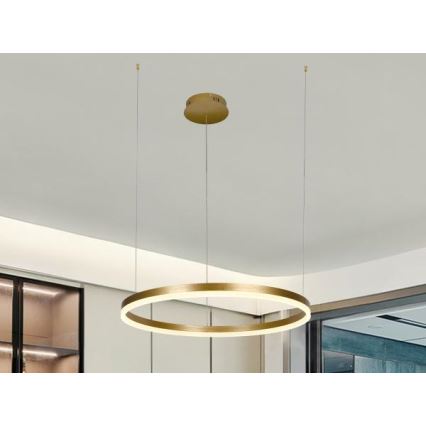 Suspension filaire à intensité variable LED/42W/230V 3000-6500K + Télécommande