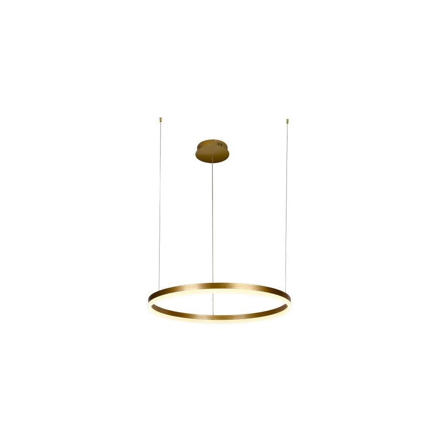 Suspension filaire à intensité variable LED/42W/230V 3000-6500K + Télécommande