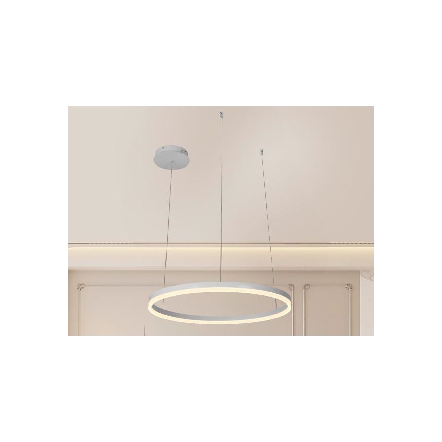 Suspension filaire à intensité variable LED/42W/230V 3000-6500K + Télécommande