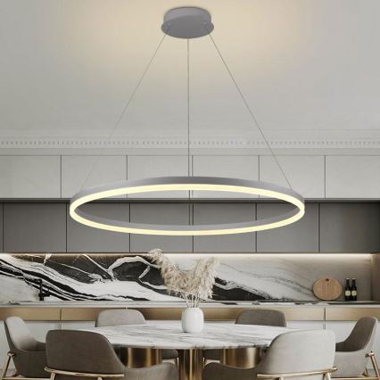 Suspension filaire à intensité variable LED/55W/230V 3000-6500K d. 80 cm + Télécommande