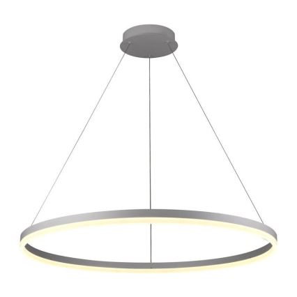 Suspension filaire à intensité variable LED/55W/230V 3000-6500K d. 80 cm + Télécommande