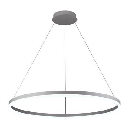 Suspension filaire à intensité variable LED/55W/230V 3000-6500K d. 80 cm + Télécommande
