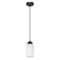 Suspension filaire BOSCO 1xE27/60W/230V