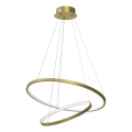 Suspension filaire HOOP LED/51W/230V d. 60 cm 4000K doré