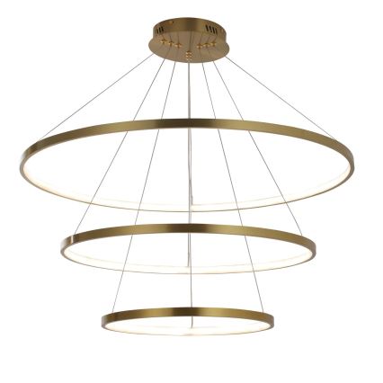 Suspension filaire LEA LED/60W/230V 4000K d. 80 cm doré