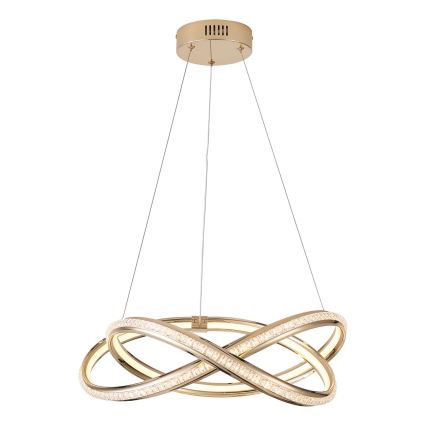 Suspension filaire LED/38W/230V 3000K 50x120 cm