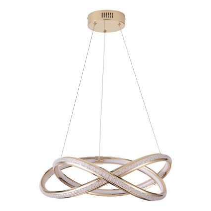 Suspension filaire LED/38W/230V 3000K 50x120 cm