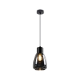 Suspension filaire MOLDO 1xE27/40W/230V noir/fumé noir