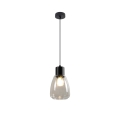 Suspension filaire MOLDO 1xE27/40W/230V noir/transparent