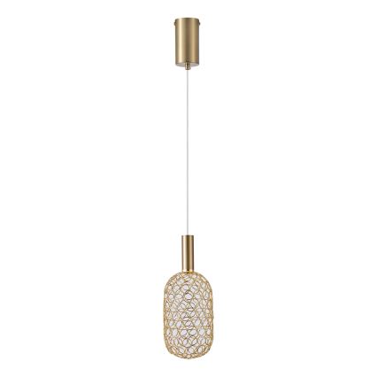 Suspension filaire PERFORATO LED/6,3W/230V 3000K doré d. 13 cm