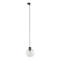 Suspension filaire pour système de rail monophasé CUBUS 1xE27/15W/230V noir/transparent