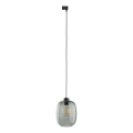 Suspension filaire pour système de rail monophasé ELIO 1xE27/15W/230V noir/fumé noir