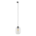 Suspension filaire pour système de rail monophasé ELIO 1xE27/15W/230V noir/transparent