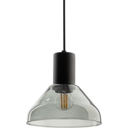 Suspension filaire pour système de rail monophasé NEO 1xE27/15W/230V noir/fumé noir